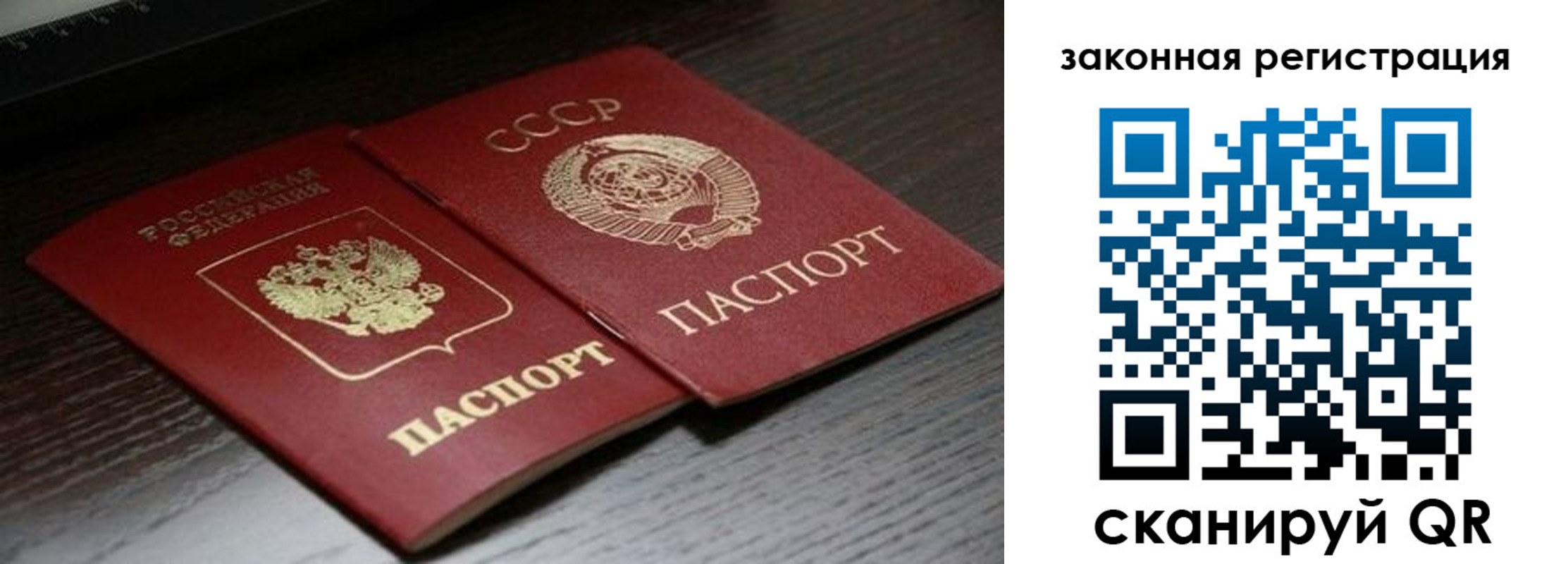 прописка поиск в Елабуге
